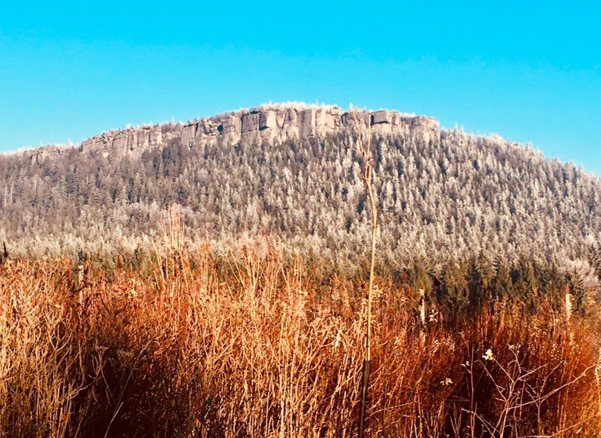Villa Stodola Na Widoku Radkow Esterno foto