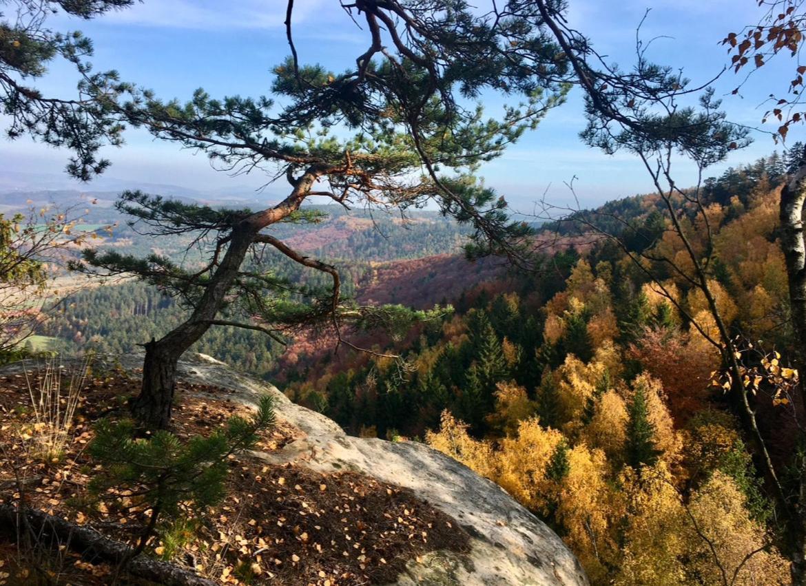 Villa Stodola Na Widoku Radkow Esterno foto