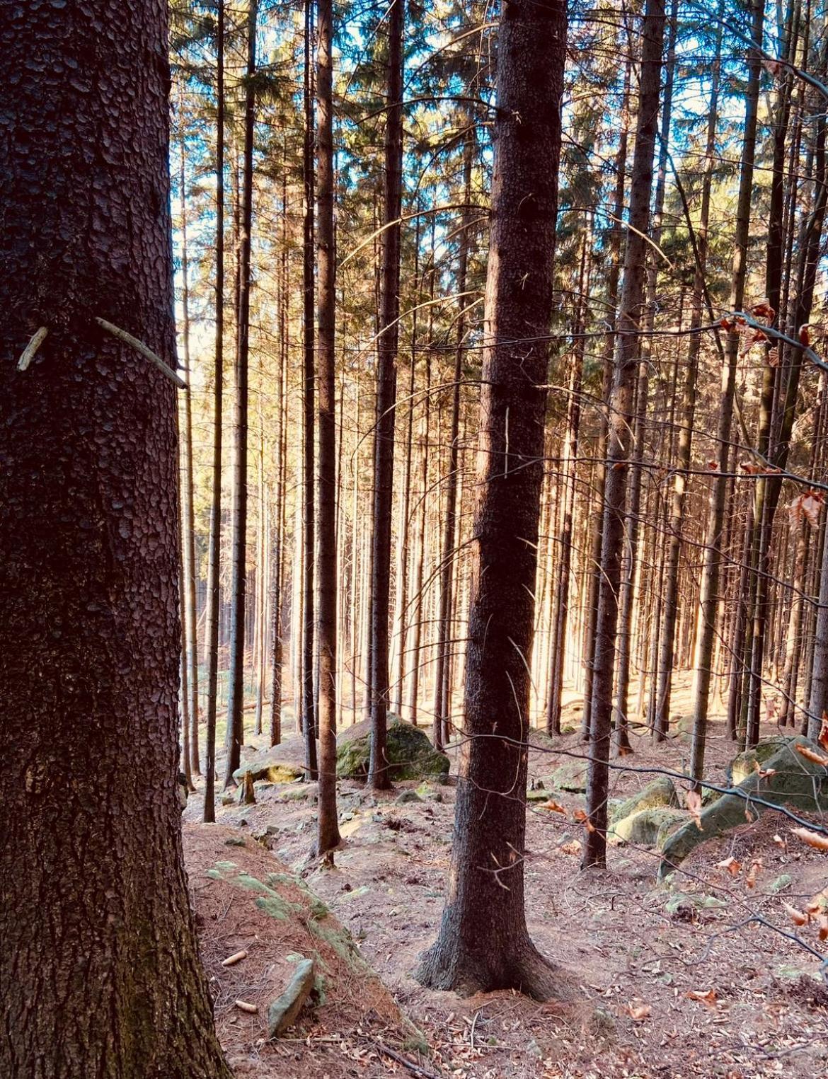 Villa Stodola Na Widoku Radkow Esterno foto