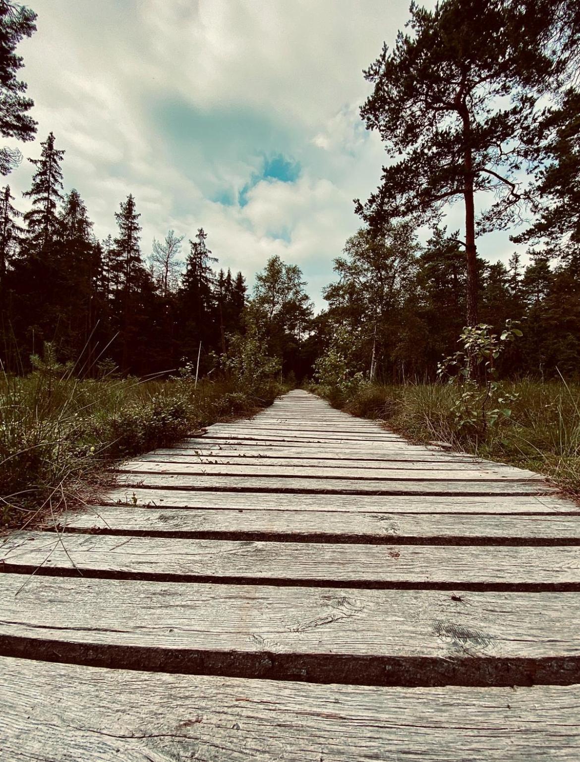 Villa Stodola Na Widoku Radkow Esterno foto