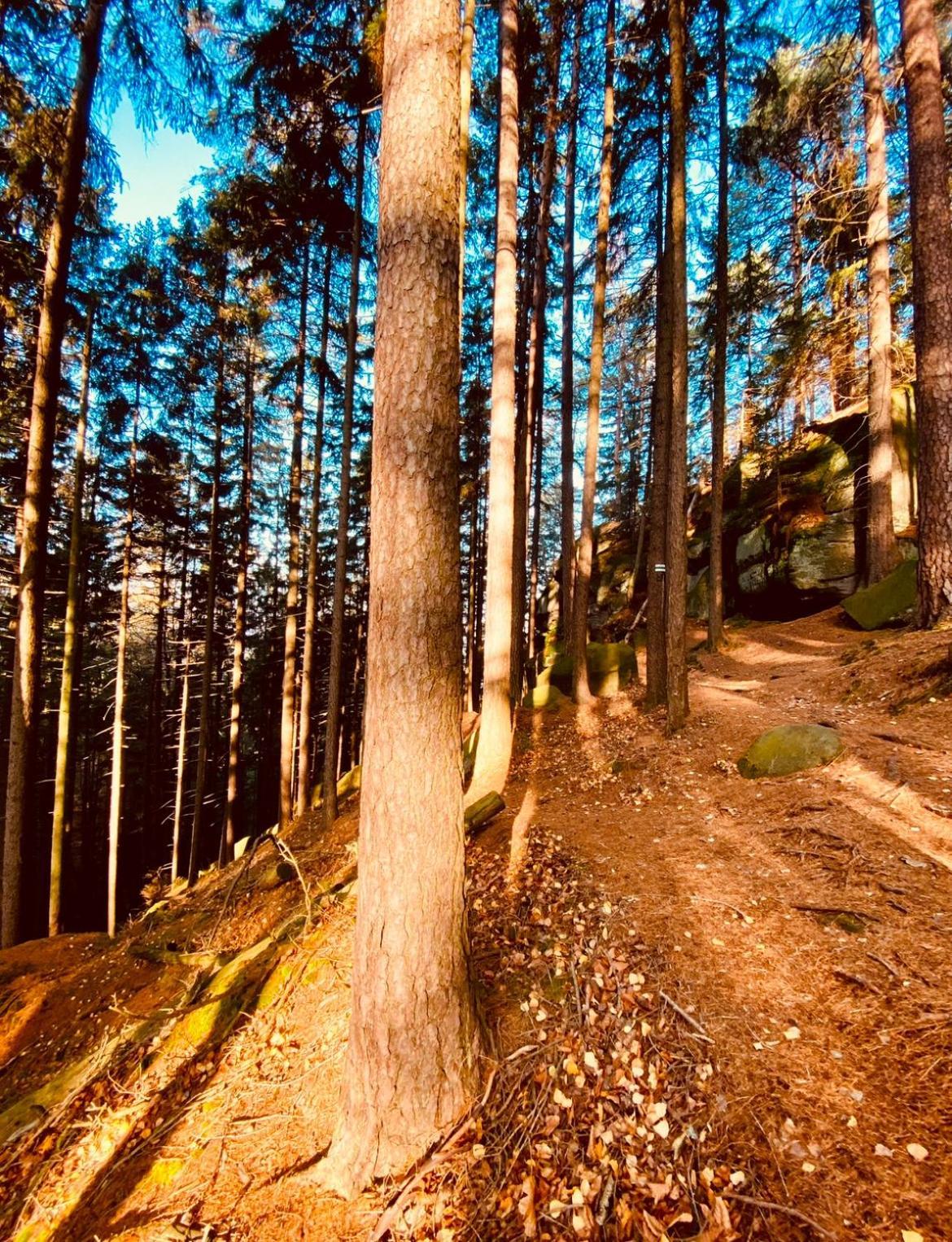Villa Stodola Na Widoku Radkow Esterno foto